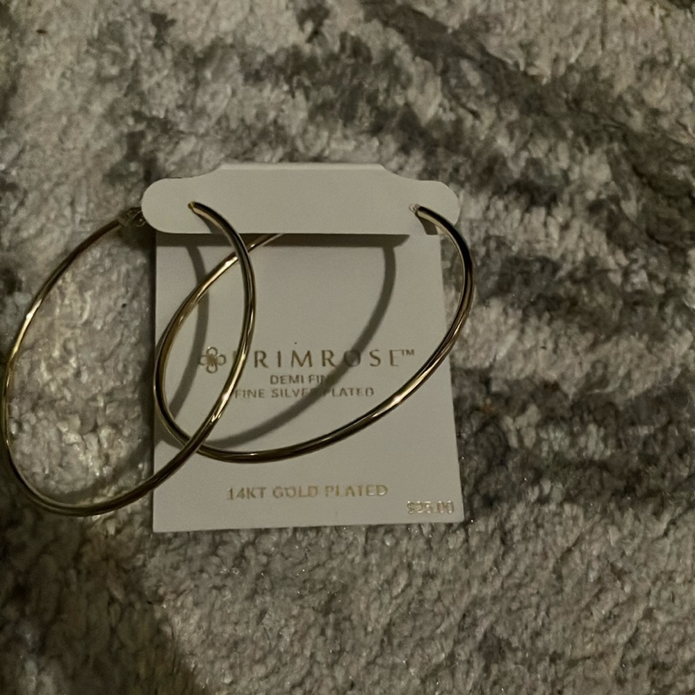 Primrose 14kt Gold Plated Hoop Earrings